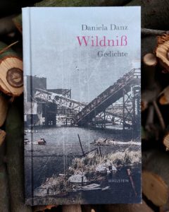 Foto von Buch „Wildniß. Gedichte“ von Daniela Danz