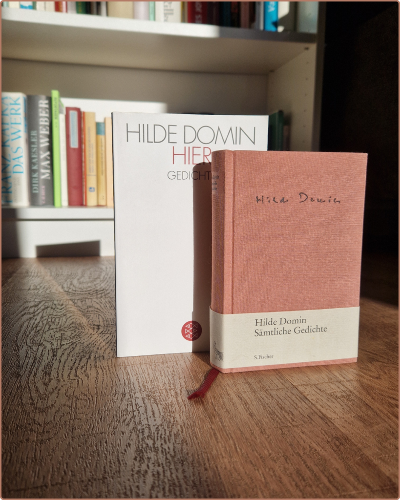 Gedichtband von Hilde Domin zu "Wer es könnte"